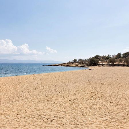 Villa San Dimitrio House On The Beach Logaras Extérieur photo