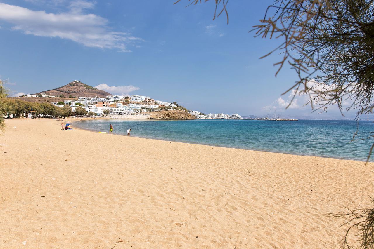 Villa San Dimitrio House On The Beach Logaras Extérieur photo