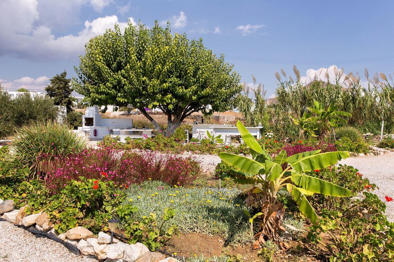 Villa San Dimitrio House On The Beach Logaras Extérieur photo