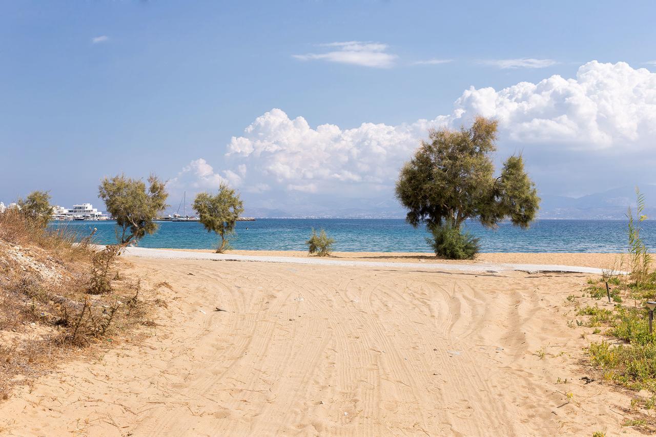 Villa San Dimitrio House On The Beach Logaras Extérieur photo